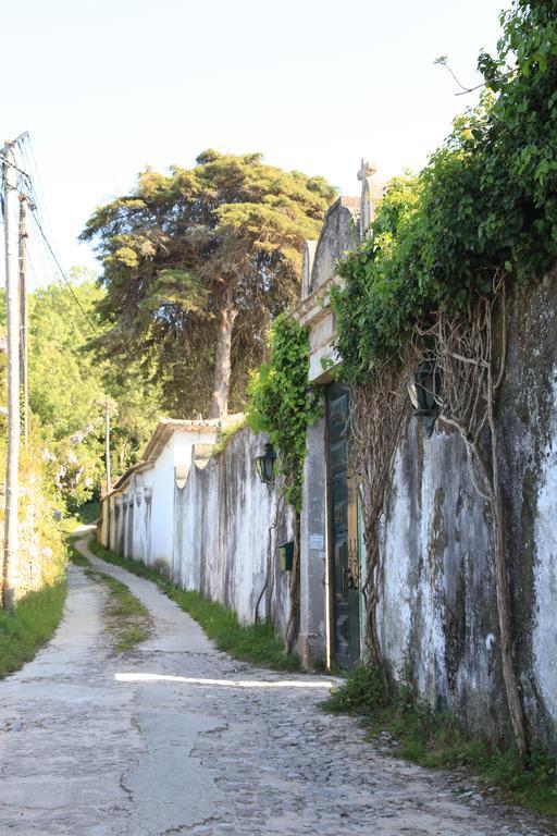 Quinta de Sao Thiago Hotel Sintra Esterno foto