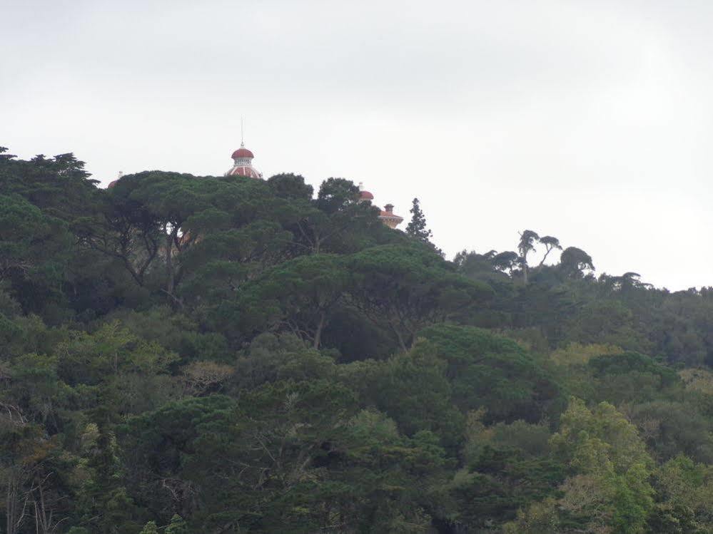 Quinta de Sao Thiago Hotel Sintra Esterno foto