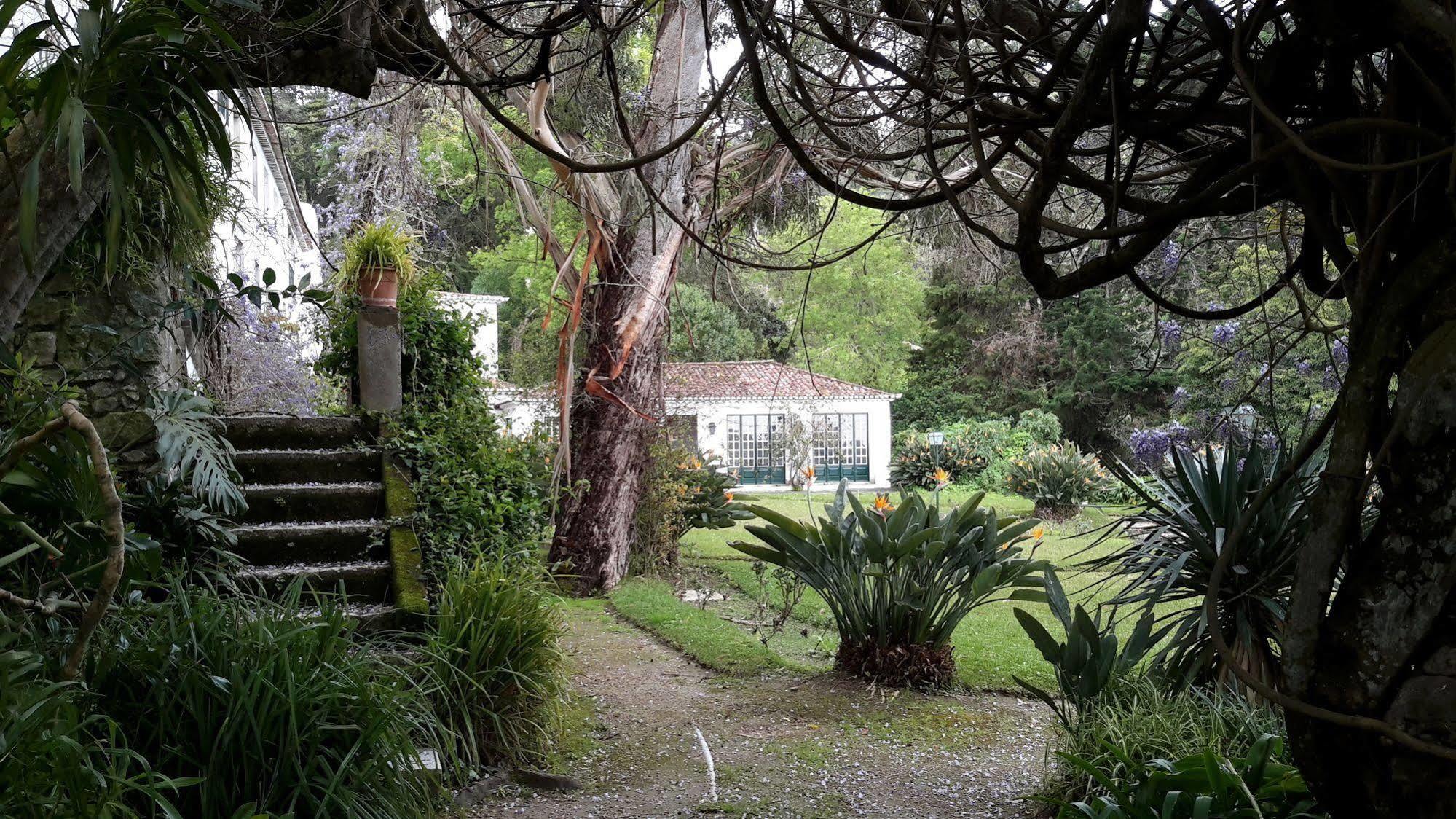 Quinta de Sao Thiago Hotel Sintra Esterno foto